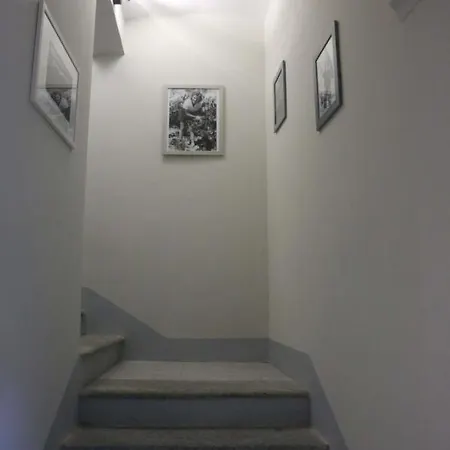 Trifulhouse