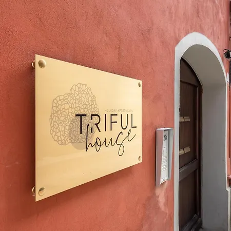 Trifulhouse Apartment